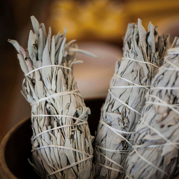White Sage